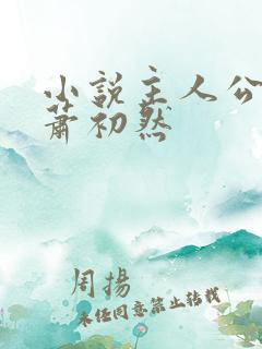小说主人公叶辰萧初然