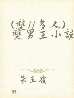 (双//多人)双男主小说推荐