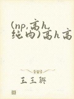 (np,高h,纯肉)高h高辣bl