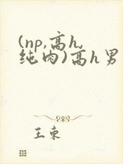 (np,高h,纯肉)高h男男