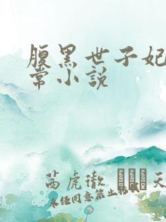 腹黑世子妃的日常小说