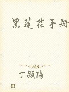 黑莲花手册上位