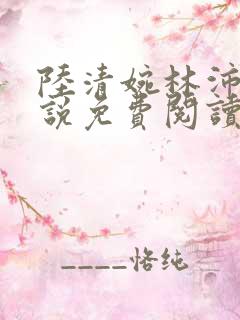 陆清婉林沛琛小说免费阅读最新章节