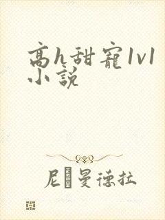 高h甜宠1v1小说 高h甜宠1v1小说