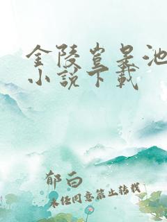 金陵岂是池中物小说下载