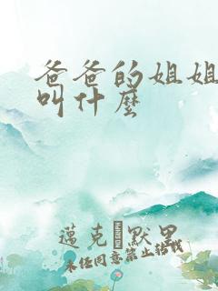 爸爸的姐姐丈夫叫什么