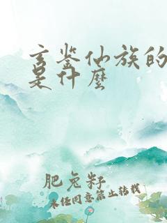 玄鉴仙族的鉴子是什么