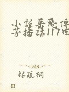 小说岳飞传刘兰芳播讲117回
