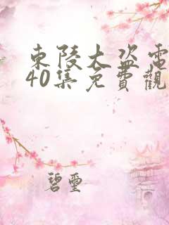 东陵大盗电视剧40集免费观看下载