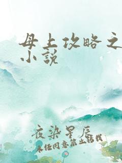 母上攻略之类的小说