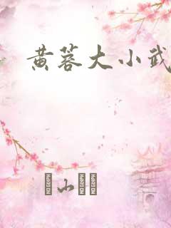 黄蓉大小武小说