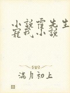 小说霍先生乖乖宠我小说