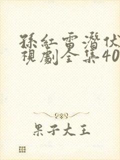 孙红雷潜伏者电视剧全集40集,免费观看