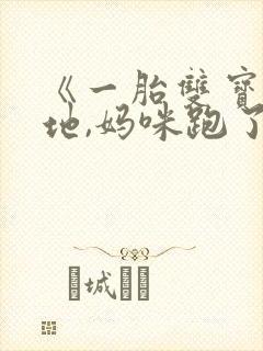 《一胎双宝:爹地,妈咪跑了》