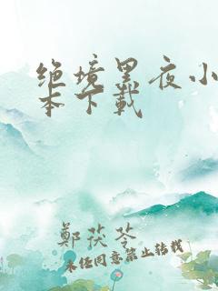绝境黑夜小说全本下载