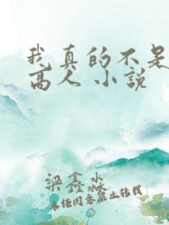 我真的不是盖世高人 小说