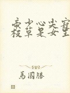 帝少心尖宠国民校草是女生