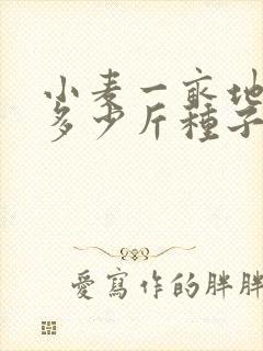 小麦一亩地需要多少斤种子