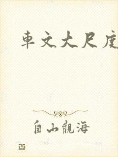 车文大尺度