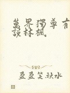 万界独尊有声小说林枫