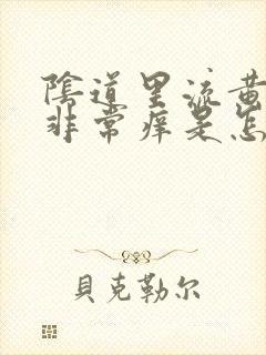 阴道里流黄水水非常痒是怎么回事?