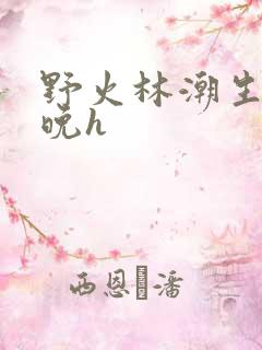 野火林潮生林晚晚h