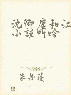 沈卿尘和江稚的小说叫啥