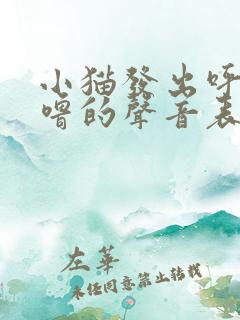 小猫发出呼噜呼噜的声音表示什么