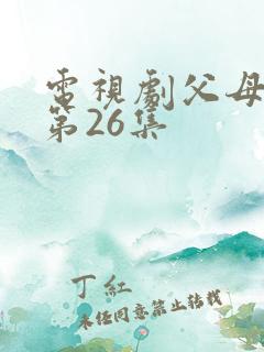 电视剧父母爱情第26集