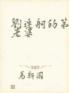 刘连舸的第四任老婆