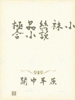 极品丝袜小说集合小说