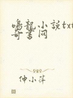 鸣龙小说txt奇书网