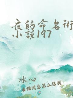 夜的命名术有声小说197