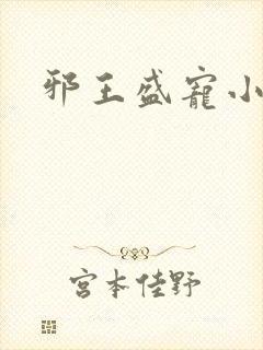 邪王盛宠小狂妃