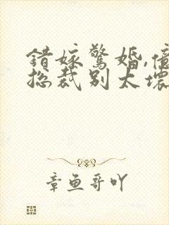 错嫁惊婚,亿万总裁别太坏