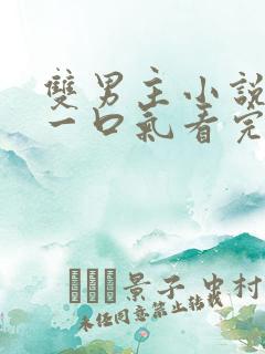 双男主小说推文一口气看完甜文