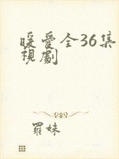 暖爱全36集电视剧