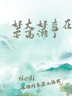 好大好爽在快点要高潮了