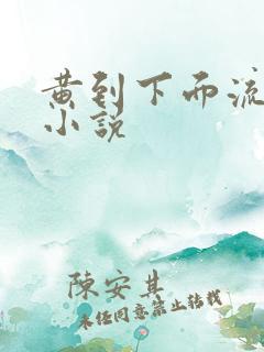 黄到下面流水的小说