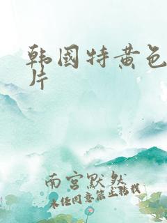 韩国特黄色一级片