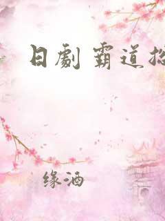 日剧 霸道总裁