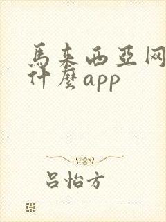 马来西亚网购用什么app