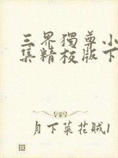 三界独尊小说全集精校版下载