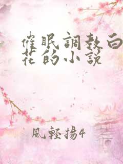 催眠调教白丝校花的小说