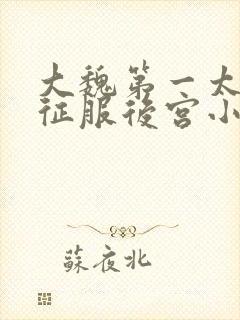大魏第一太监从征服后宫小说