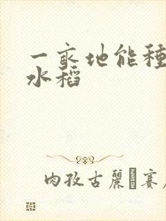 一亩地能种多少水稻
