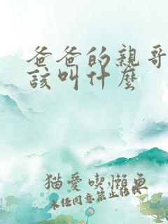 爸爸的亲哥哥应该叫什么