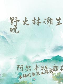 野火林潮生林晚晚