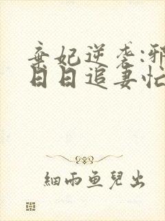 弃妃逆袭:邪王日日追妻忙在线阅读