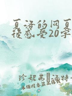夏洛的网夏洛读后感受20字